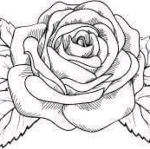 Meet your Posher, Jessie